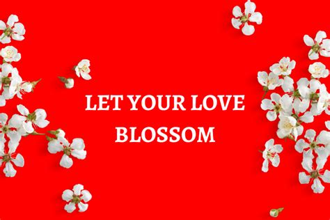 cherry blossom dating|22 Reasons to Join Blossoms Dating